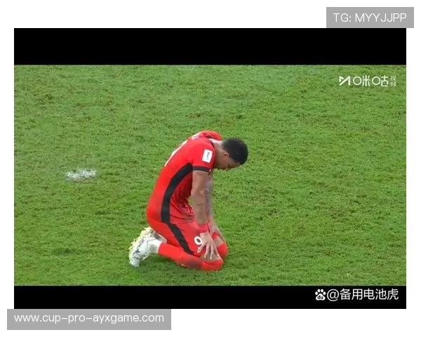 刘祝润去留成悬念，海港末战多将可能告别球迷