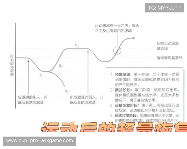 琜员如何通过恢复与营养缩短疲劳周期，如何改善员工疲劳